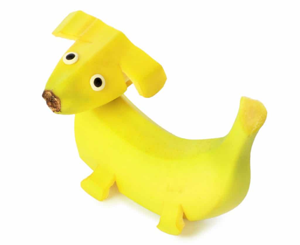 What about fruit for your dog? Go Bananas!