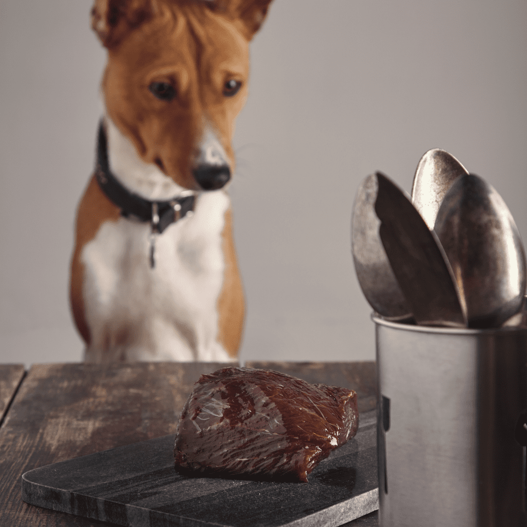 Is a good steak good for your dog?