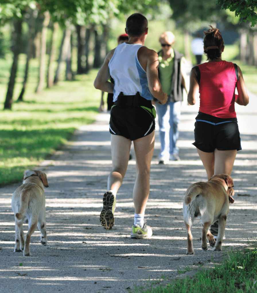 Your ideal running buddy: your dog.